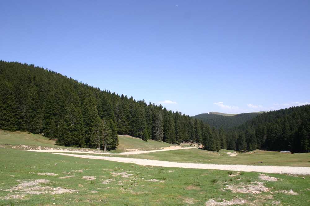 Bektaş Yaylası & Anzer Yolu (Bal ve Yayla) Turu