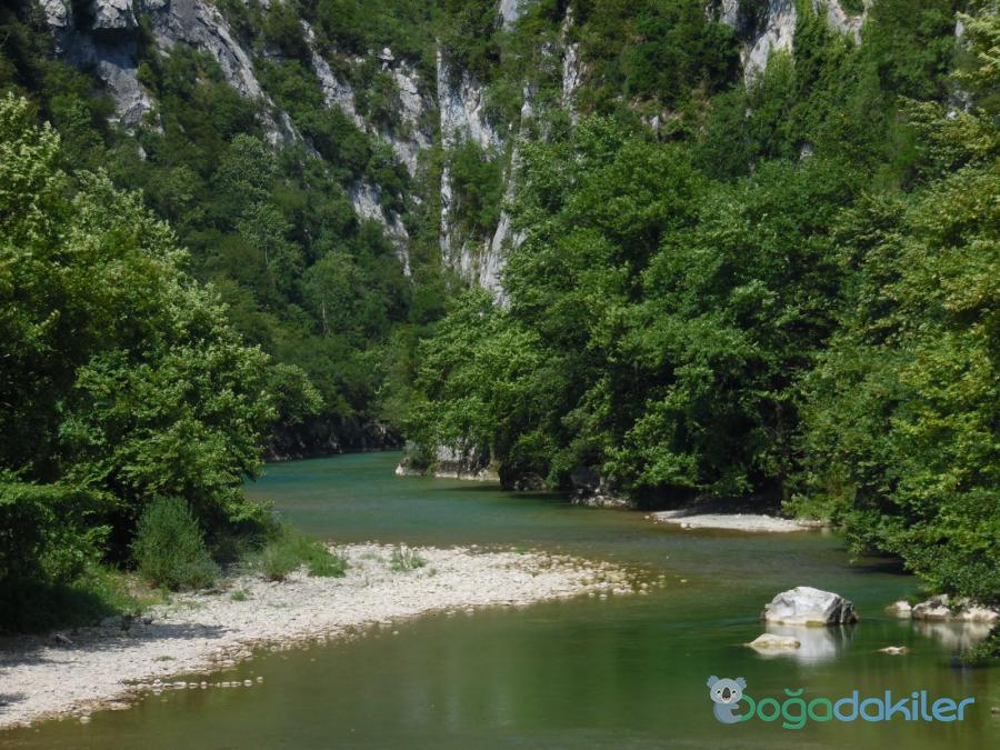 Eynesil & Cide Kanyonu Turu