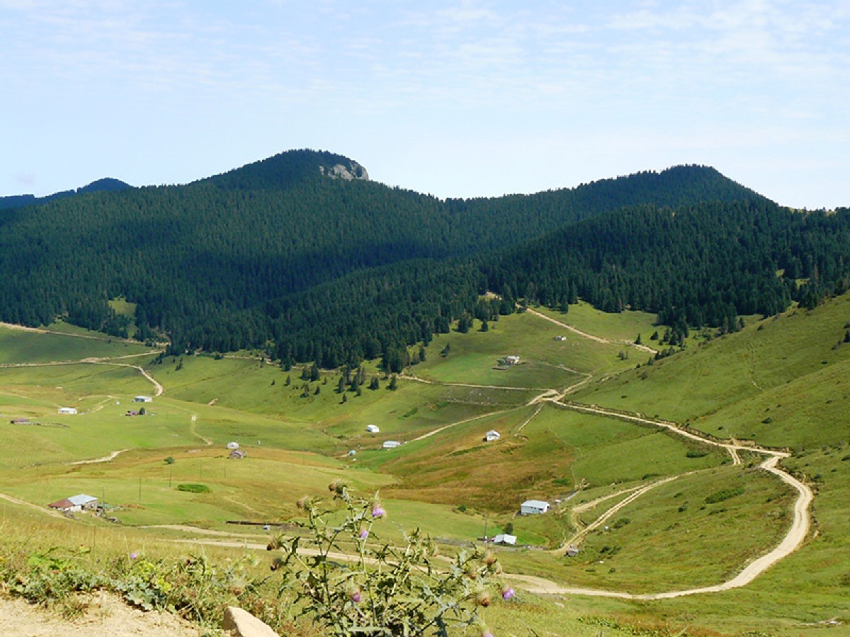 Fetvane Yaylası & Maçka Başköy Köy Turizmi
