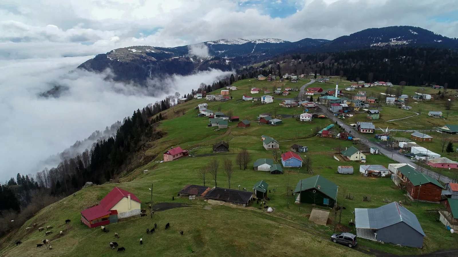 Hıdırnebi Yaylası & Kadırga Yaylası Jeep Safari