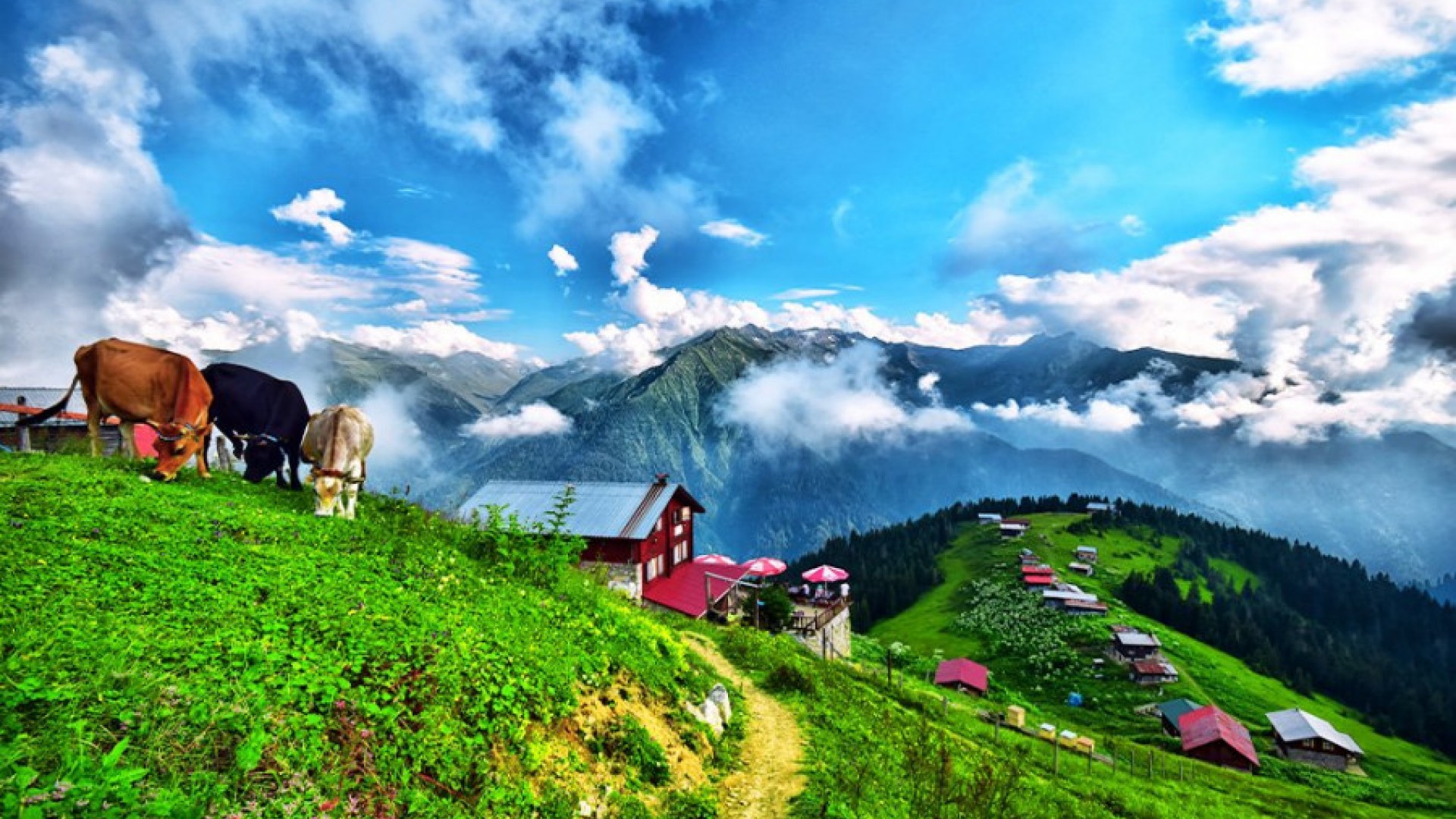 Huser & Amlakit Yaylaları Turu