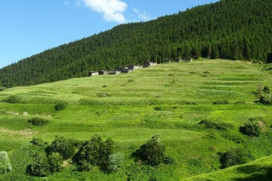 Lapazan Yaylası & Çimenli Göleti Turu