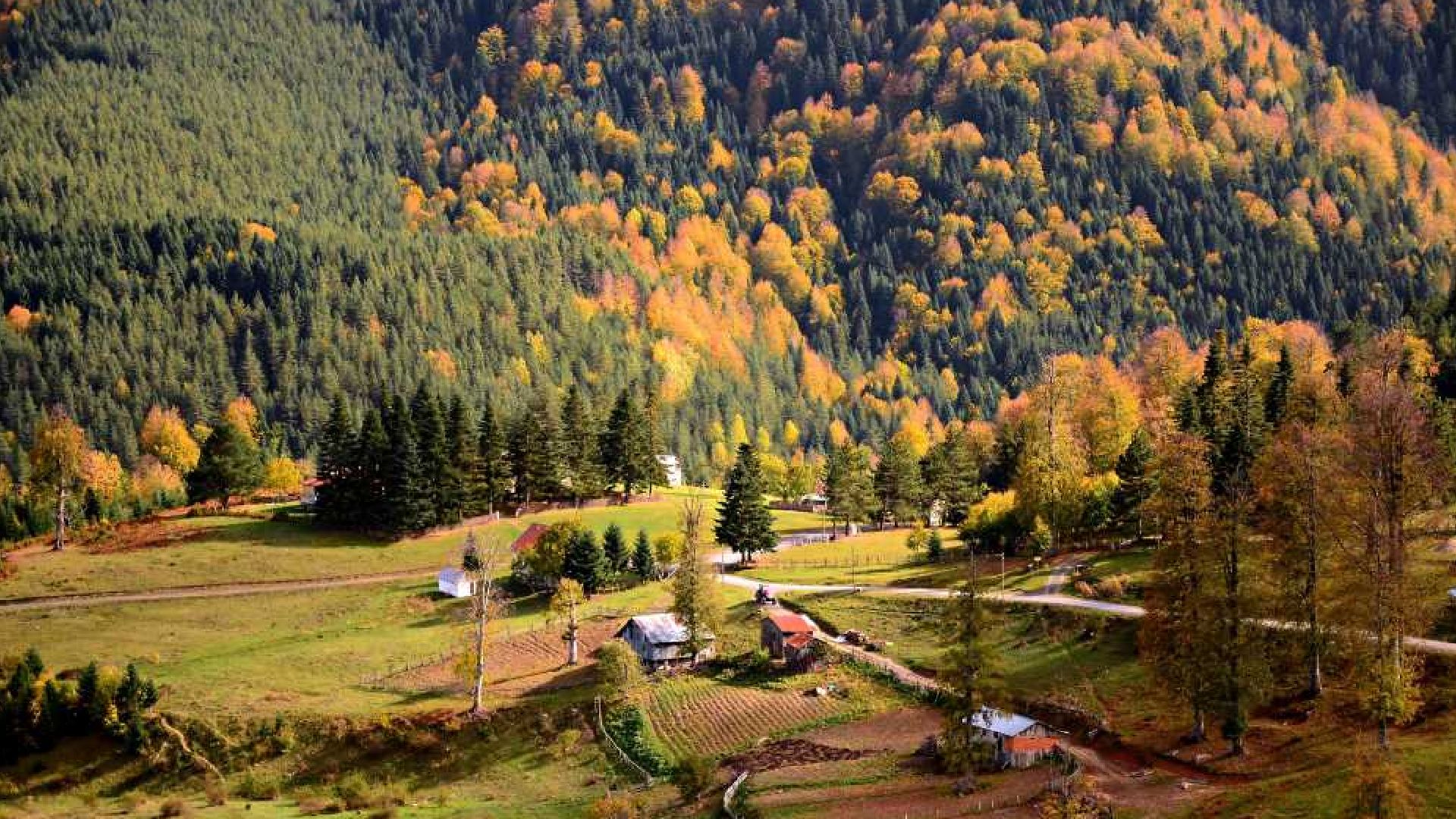 Tonya-Sekmenli Yaylaları Geleneksel Köy Yaşamı