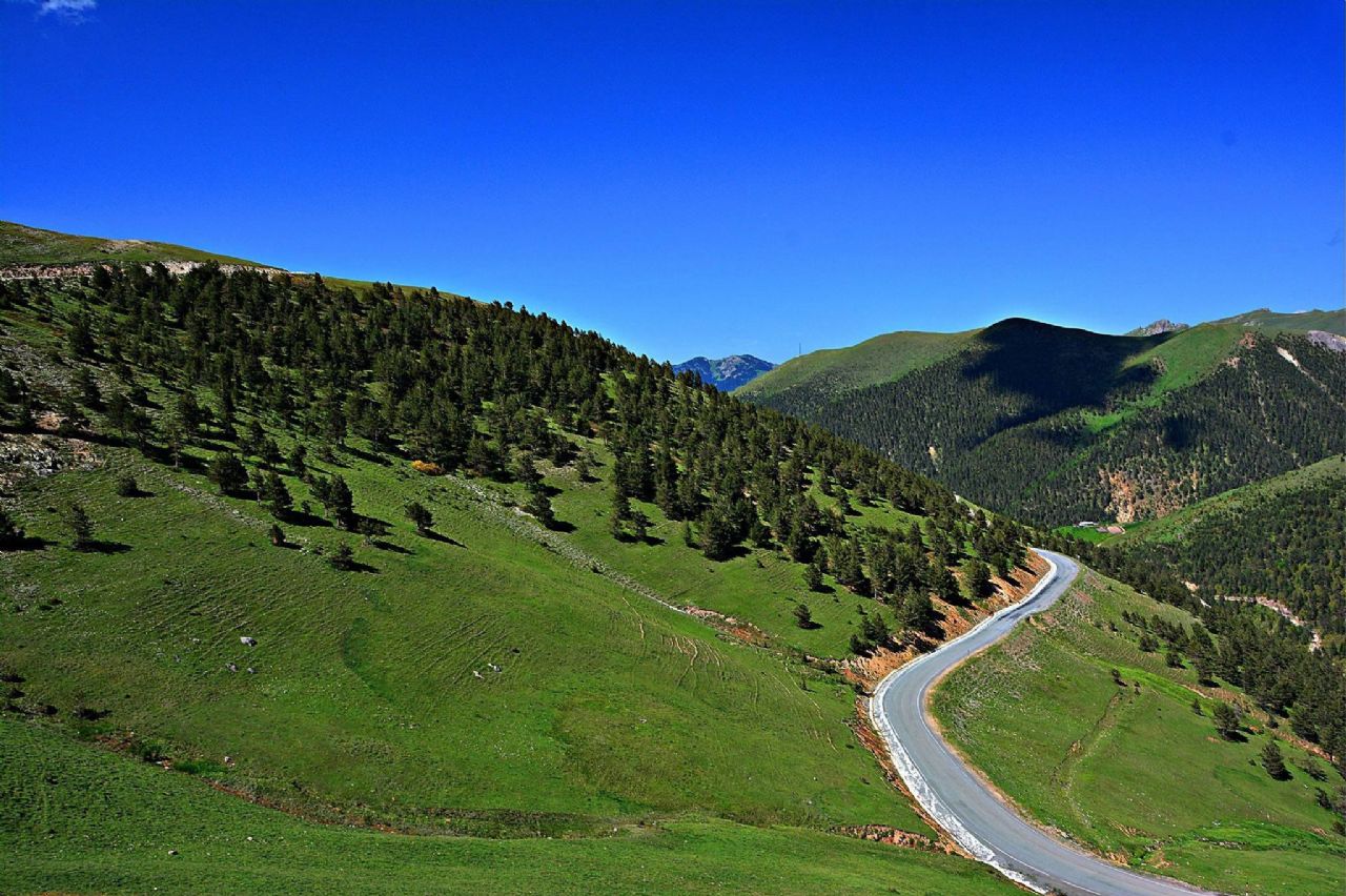 Zigana Geçidi & Limonlu Yaylası Karadeniz Keyfi