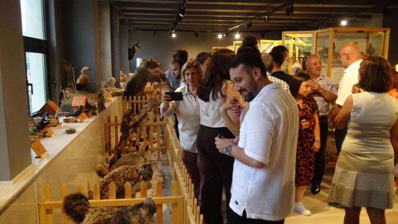 Balat ve Fener Tarihi Semtler Turu