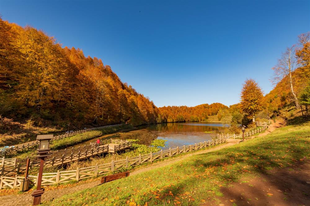 Gölköy & Ulugöl Tabiat Parkı Turu